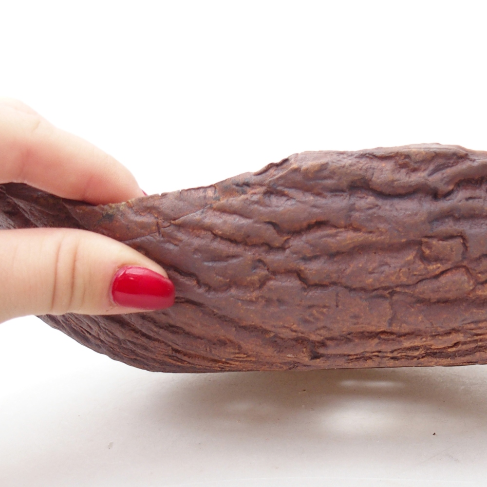 Keramisch Schelp 24 x 17 x 7 cm , kleur bruin