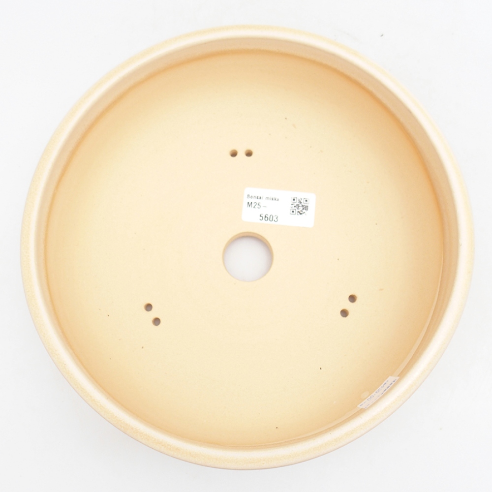 Bonsaischaal van keramiek 21,5 x 21,5 x 7 cm, kleur beige