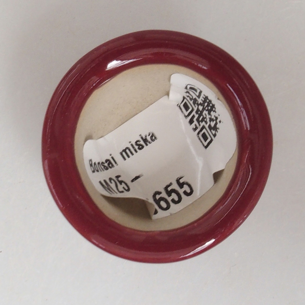 Mini bonsaischaal 3,5 x 3,5 x 2,5 cm, bordeauxrood