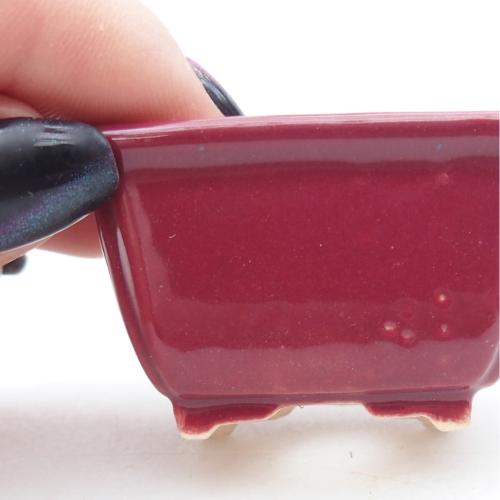 Mini bonsaischaal 4,5 x 3,5 x 2,5 cm, bordeauxrood
