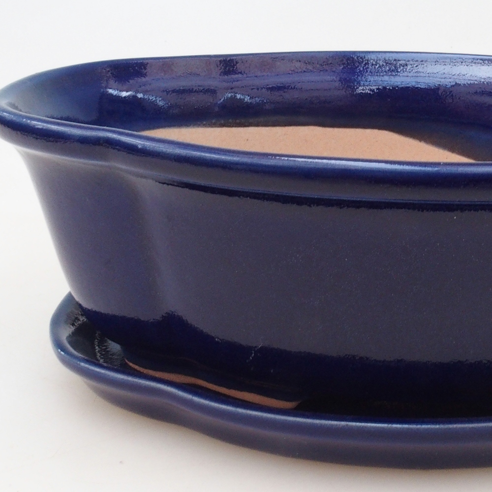 Bonsai kom + schotel H75 - blauw