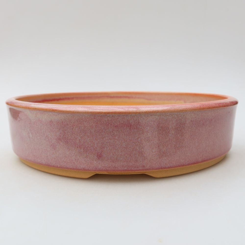 Keramische bonsaipot 24 x 24 x 6 cm, kleur roze