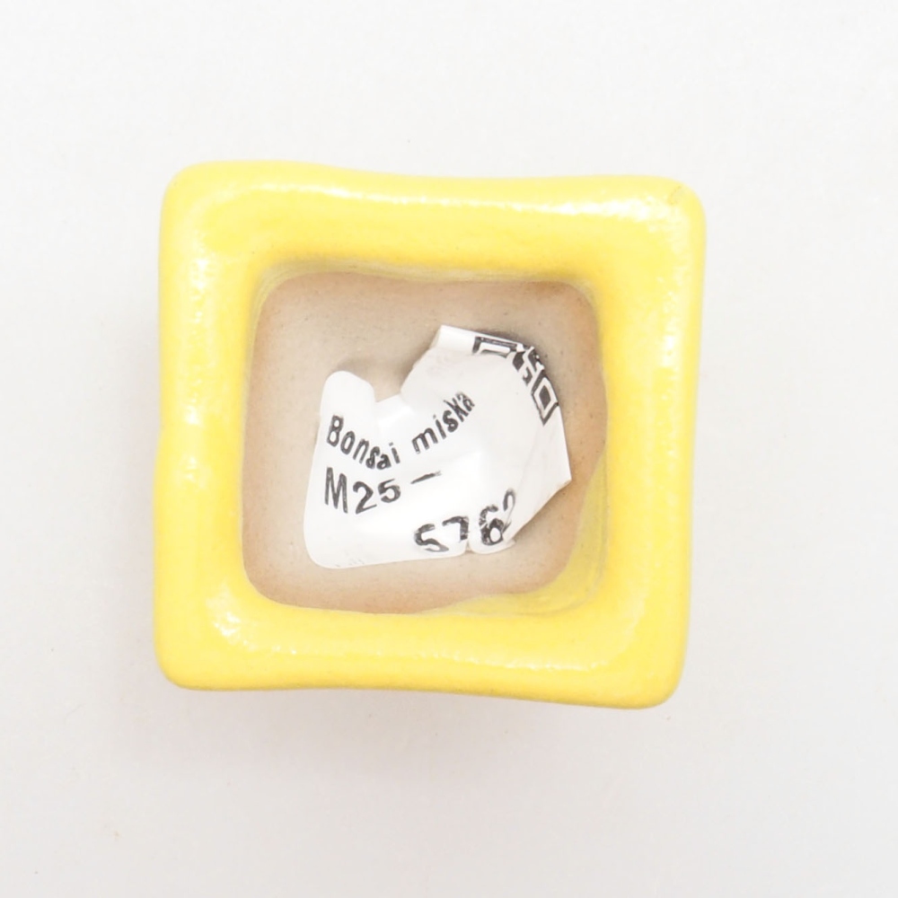 Bonsaischaal van keramiek 3,5 x 3,5 x 3 cm, geel