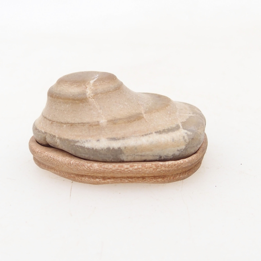Suiseki - Steen met DAI (houten basis)