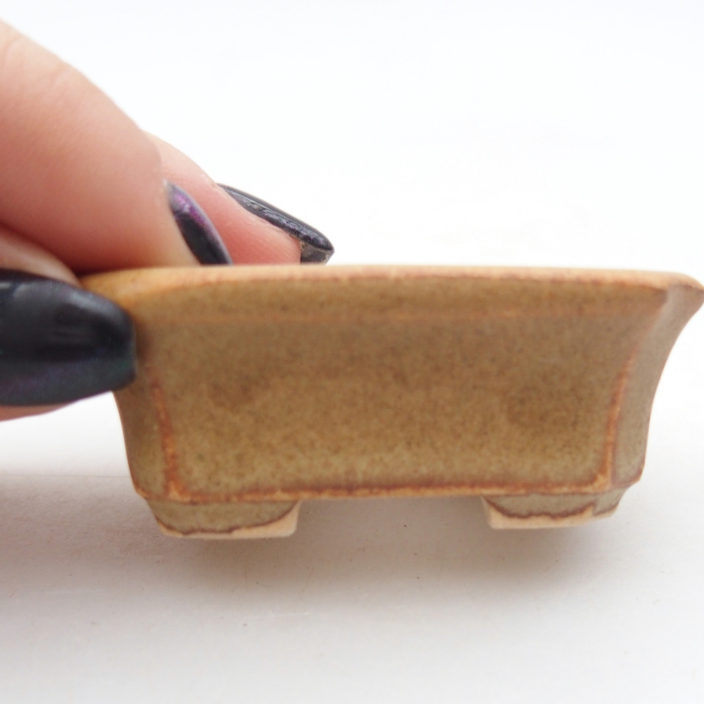 Mini bonsaischaal 5,5 x 4,5 x 2 cm, bruin