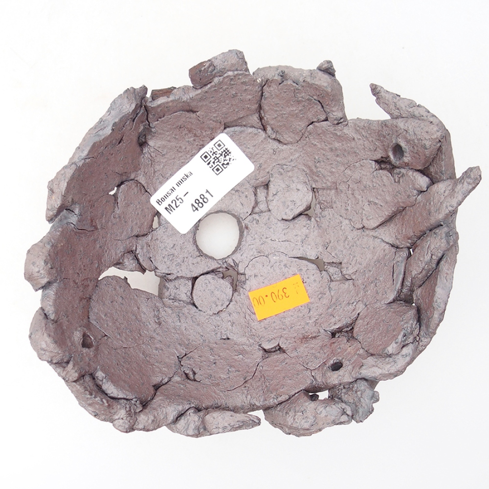 Keramische schelp 16 x 14 x 6,5 cm , metaalkleur