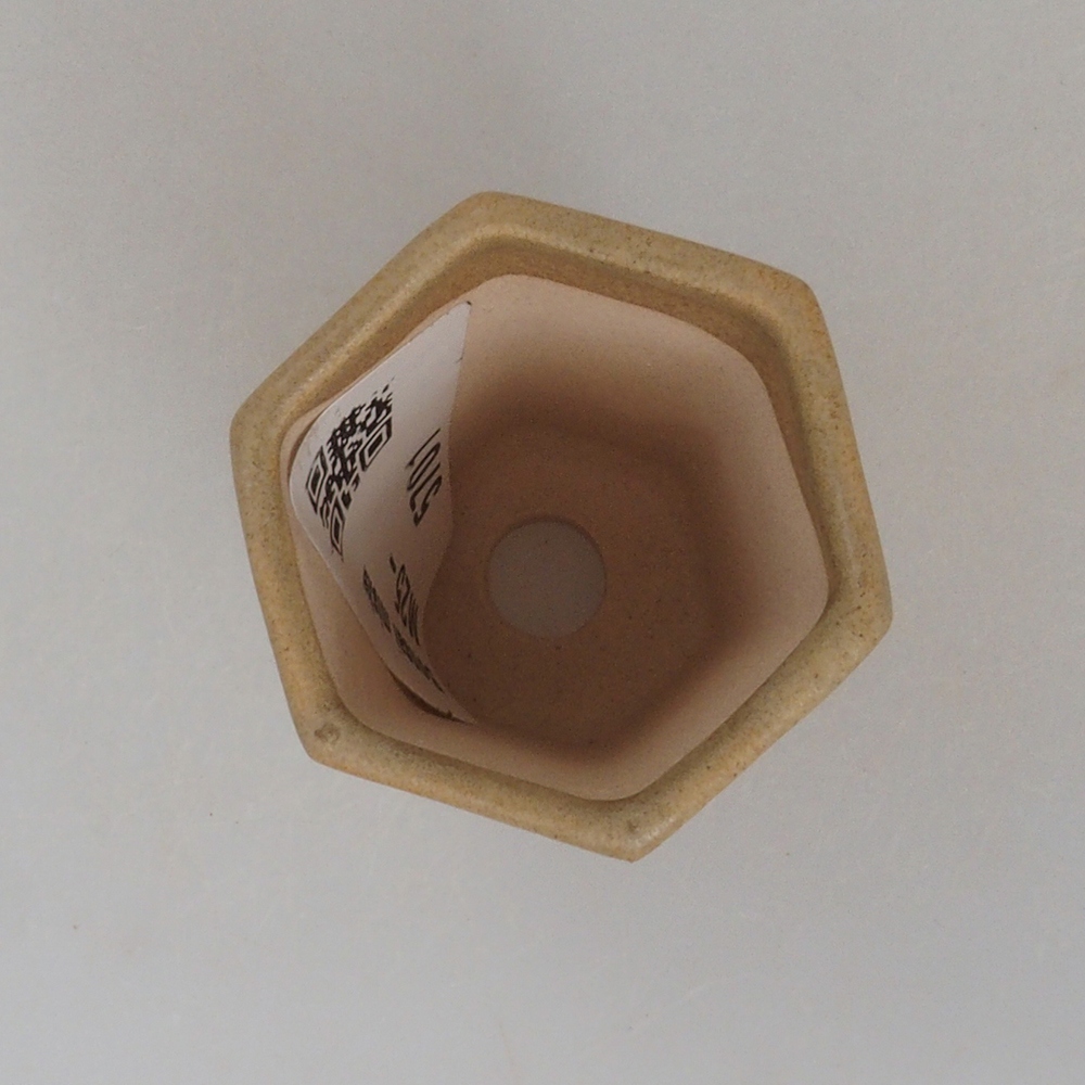 Mini bonsaischaal 4 x 3,5 x 5,5 cm, bruin