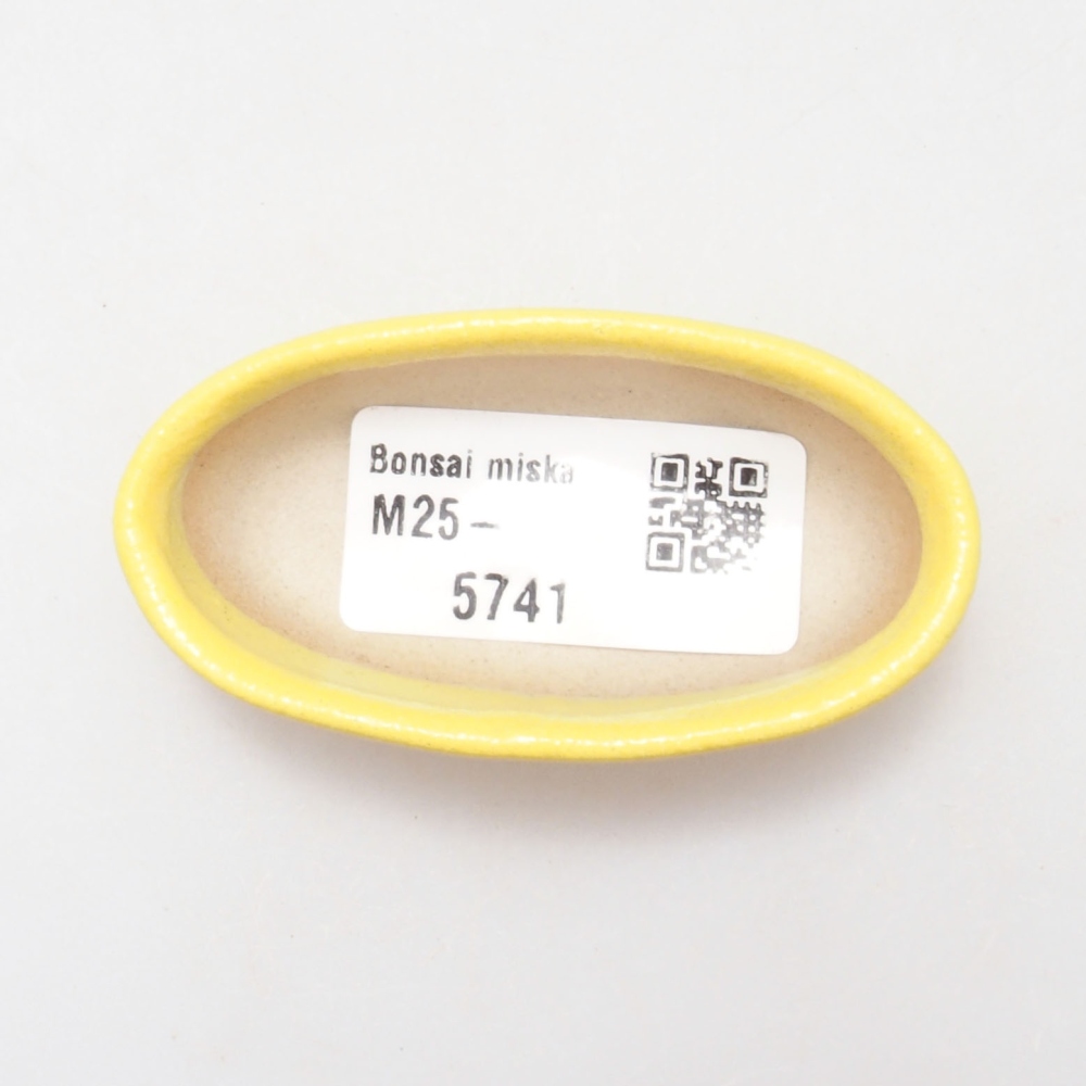 Bonsaischaal van keramiek 6,5 x 3,5 x 2 cm, geel