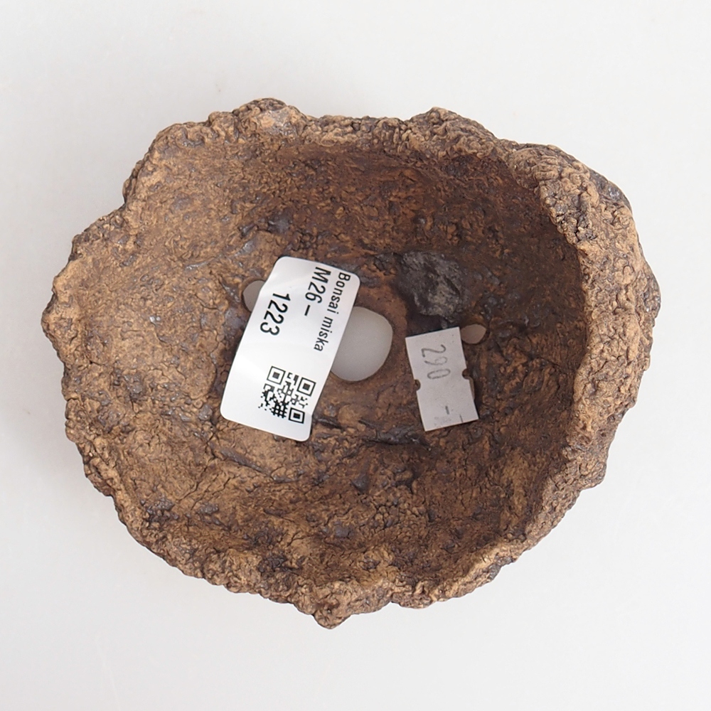 Keramisch Schelp 10 x 8 x 9 cm , kleur bruin