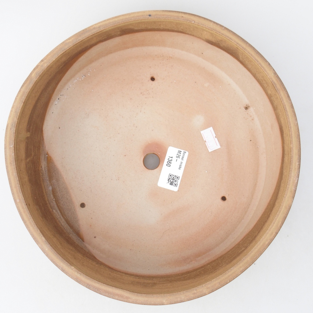 Bonsaischaal van keramiek 24,5 x 24,5 x 7 cm, kleur beige