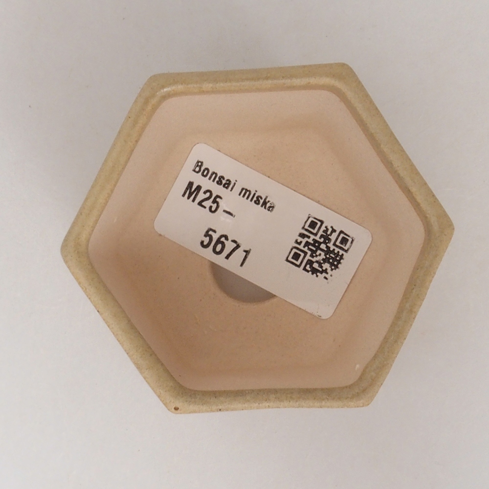 Mini bonsaischaal 7 x 5,5 x 4,5 cm, bruin