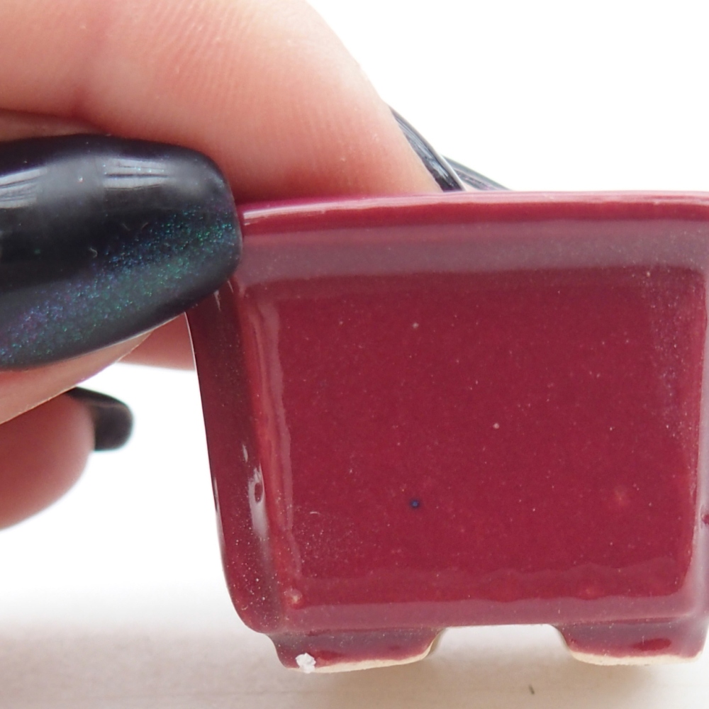 Mini bonsaischaal 3,5 x 3,5 x 2 cm, bordeauxrood