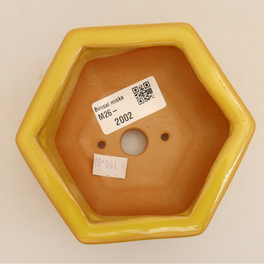 Keramische bonsaipot 12 x 10,5 x 4 cm, kleur geel