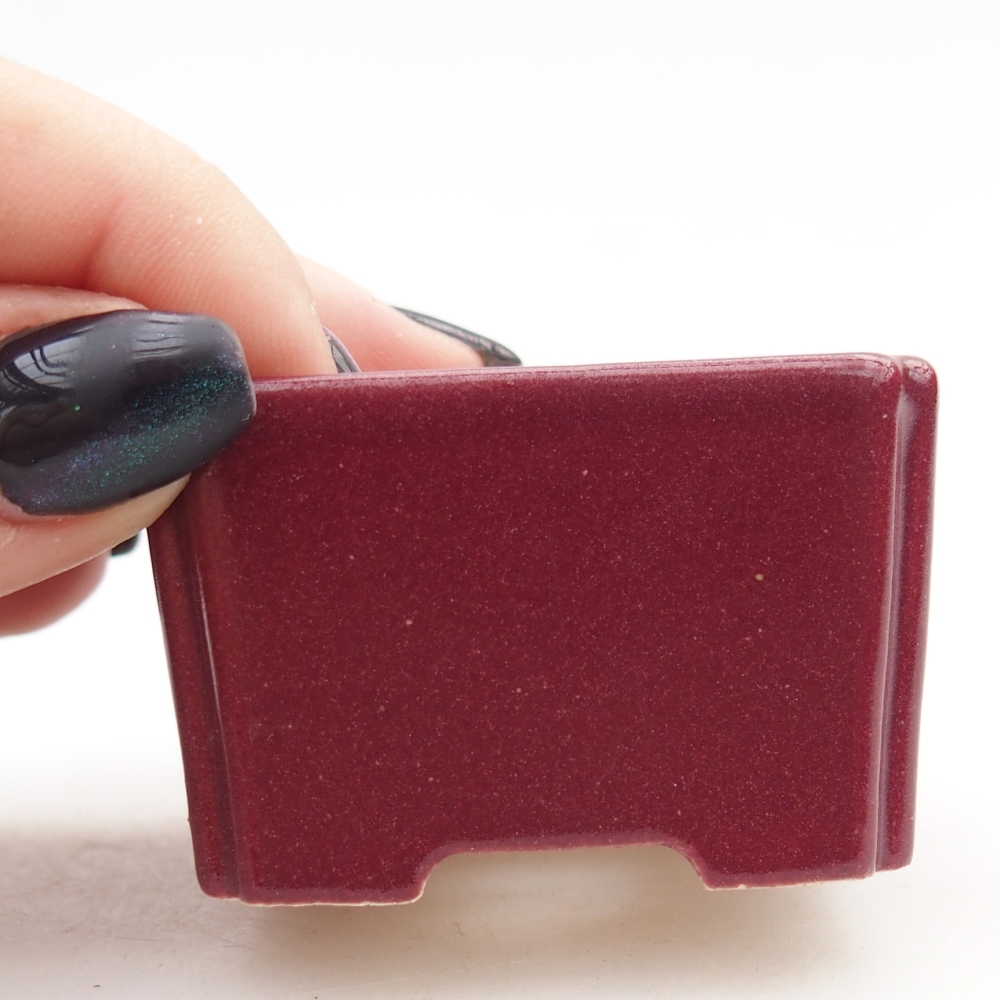 Mini bonsaischaal 5 x 5 x 3 cm, bordeauxrood