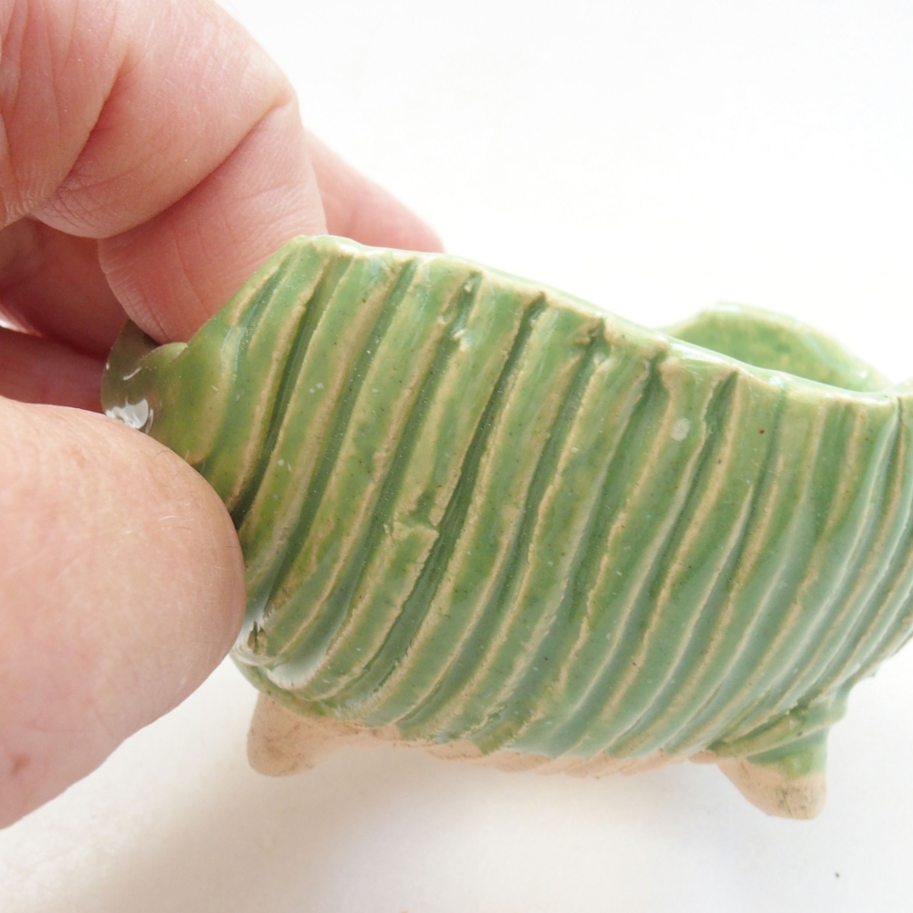 Schelp van keramiek 7,5 x 7 x 4,5 cm , kleur groen