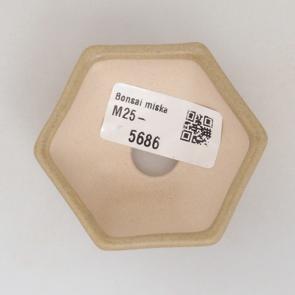 Mini bonsaischaal 6,5 x 6 x 2,5 cm, bruin