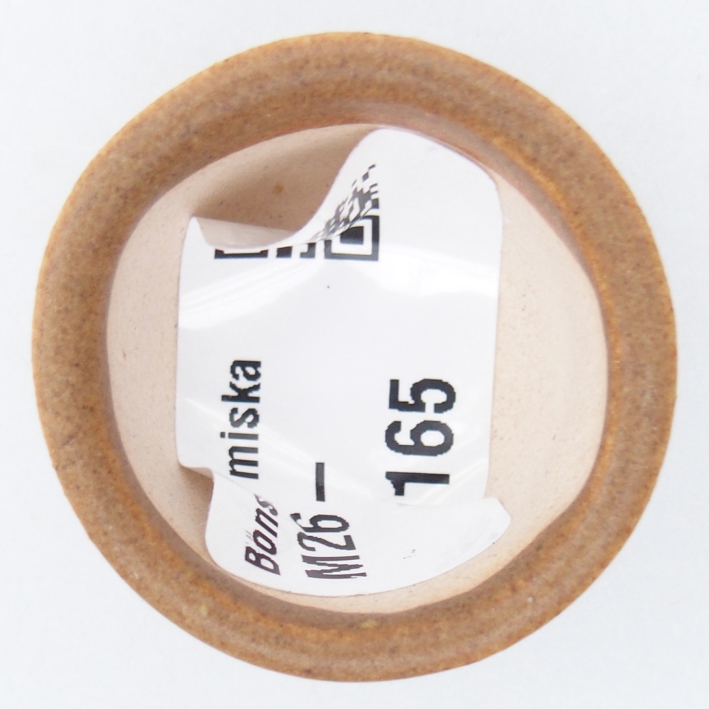 Mini bonsaischaal 4 x 4 x 2 cm, bruin