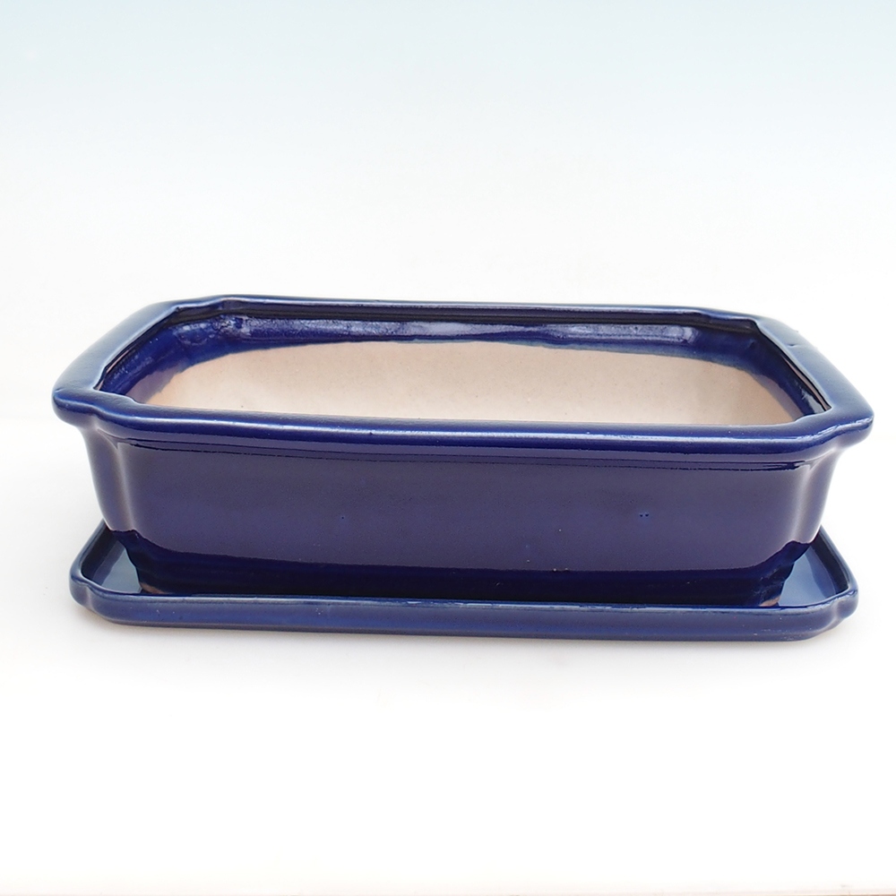 Bonsaischaal + schotel H07 - 30 x 20,5 x 8 cm.