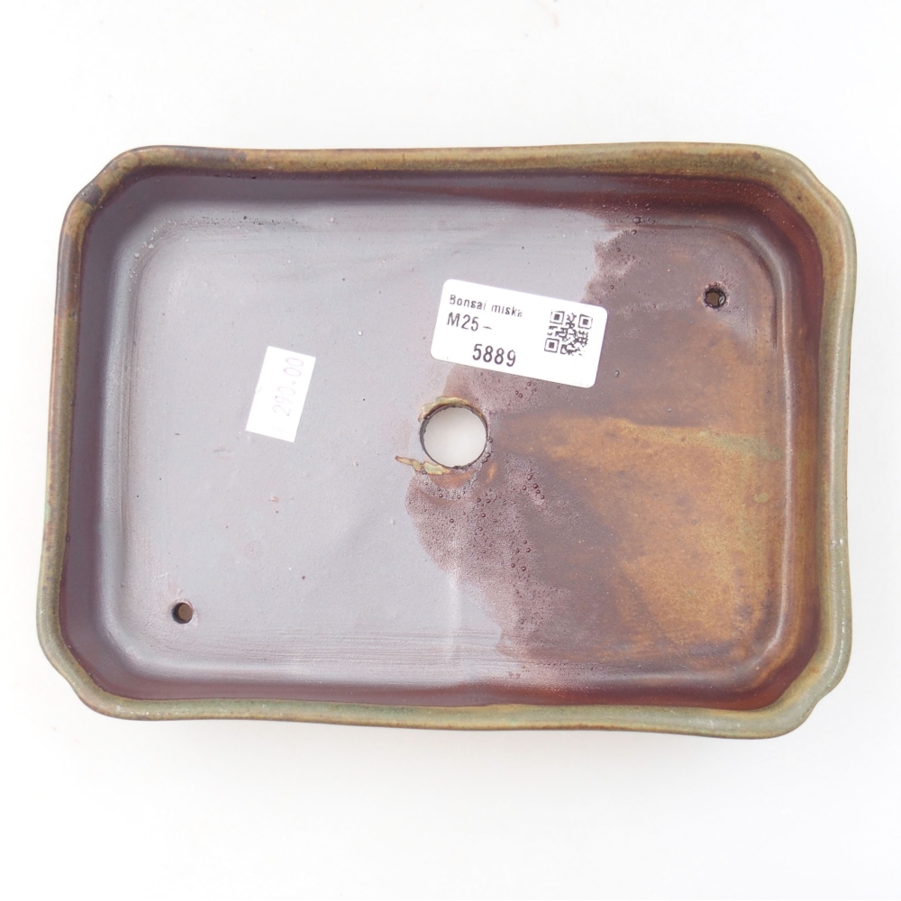 Bonsaischaal van keramiek 22 x 17 x 5 cm, groen