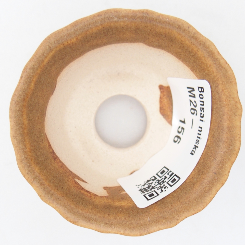 Mini bonsaischaal 5,5 x 5,5 x 3 cm, bruin