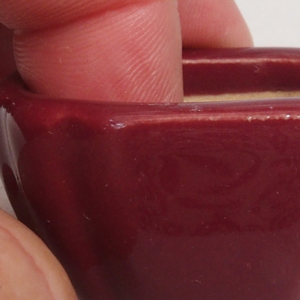 Mini bonsaischaal 4,5 x 4,5 x 2,5 cm, bordeauxrood