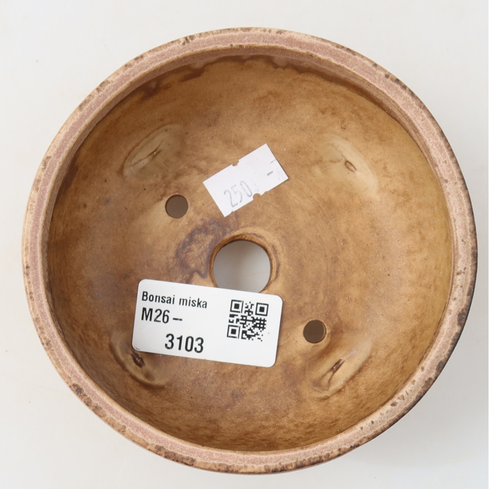 Keramische bonsaipot 10,5 x 10,5 x 4 cm, kleur: roze