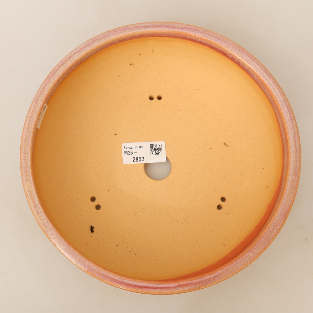 Keramische bonsaipot 22,5 x 22,5 x 7 cm, kleur: roze