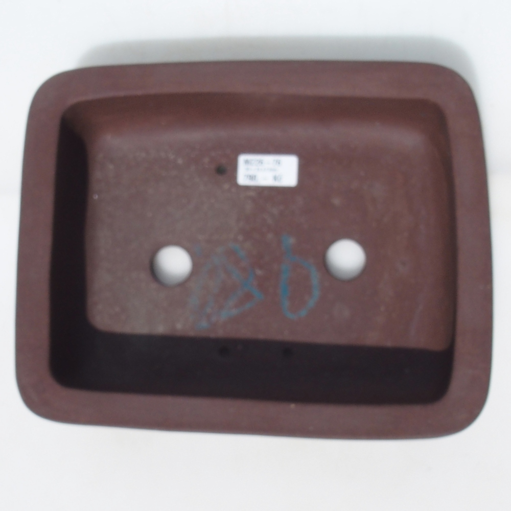 Bonsaischaal 30 x 24 x 7,5 cm berken bruin