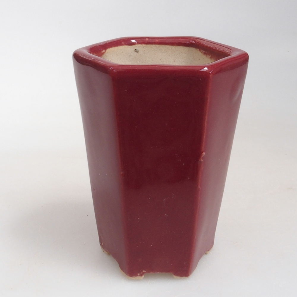 Mini bonsaischaal 4,5 x 4 x 6 cm, bordeauxrood