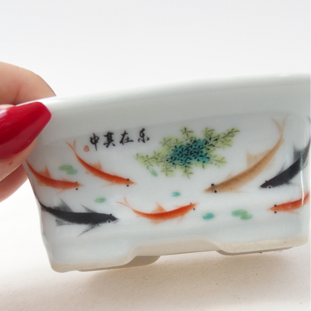 Mini bonsaischaal 10 x 7,5 x 4 cm, kleur wit