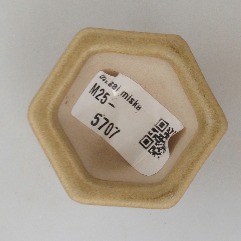 Mini bonsaischaal 5 x 4,5 x 3 cm, bruin