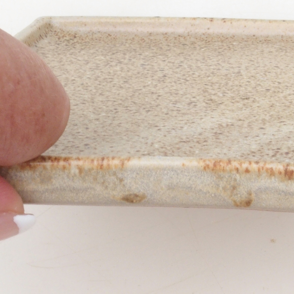 Bonsaischaal vierkant L - 14 x 14 x 1 cm - beige