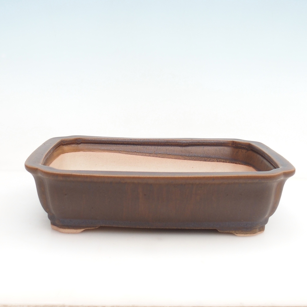 Bonsaischaal + schotel H07 - 30 x 20,5 x 8 cm.