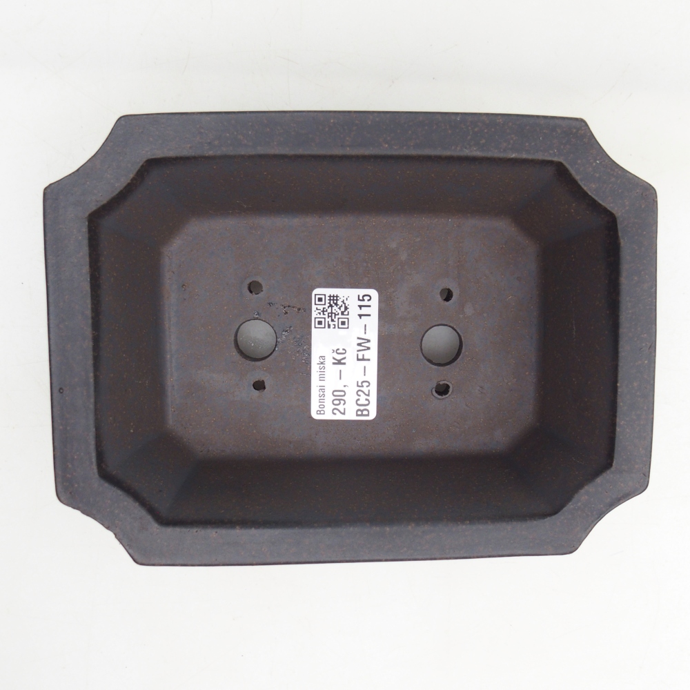 Bonsaischaal van keramiek 16 x 12 x 5 cm, okerbruin