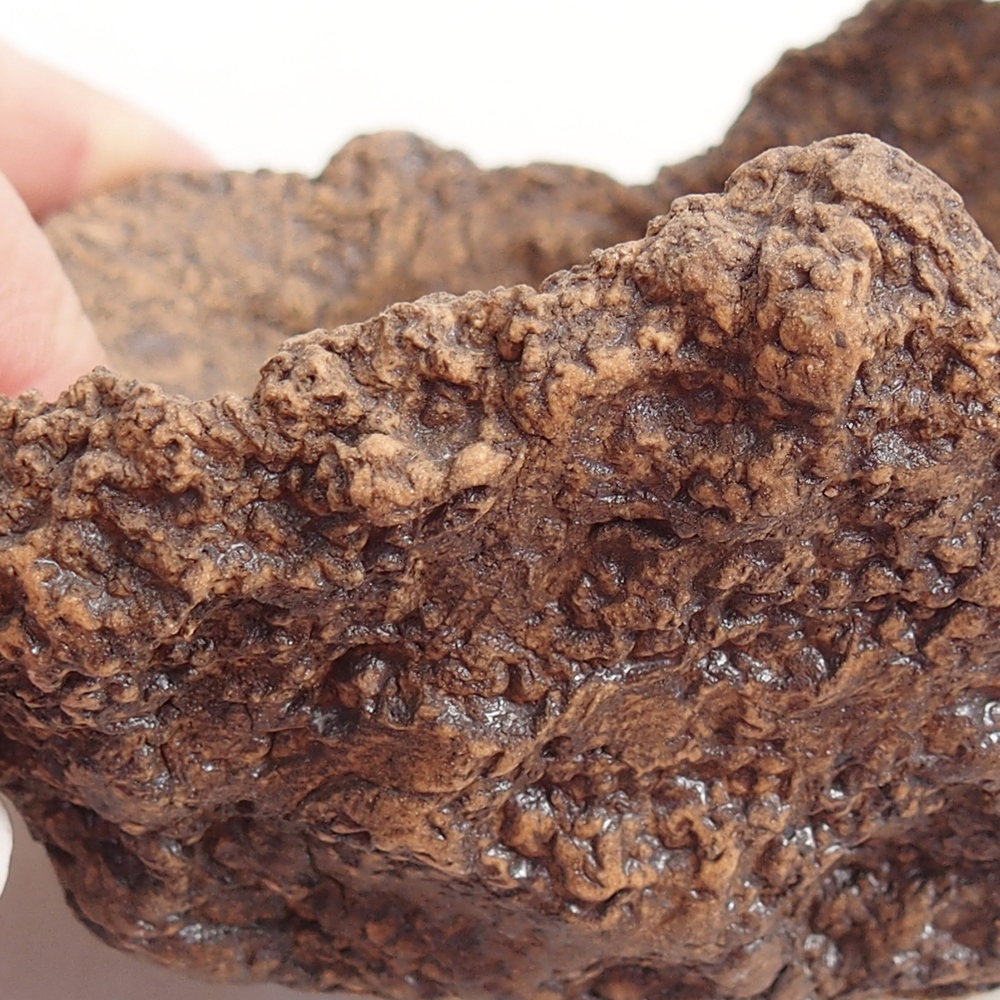 Keramisch Schelp 10 x 8 x 9 cm , kleur bruin