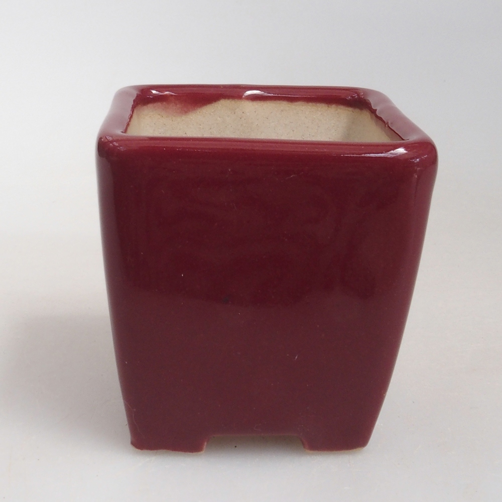 Mini bonsaischaal 4,5 x 4,5 x 4,5 cm, bordeauxrood