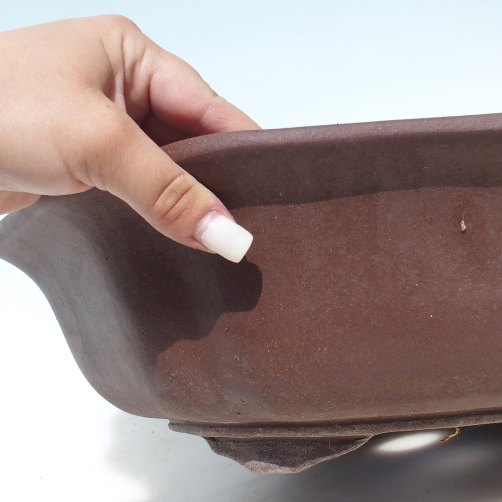 Bonsaischaal 39 x 39 x 11,5 cm berken bruin