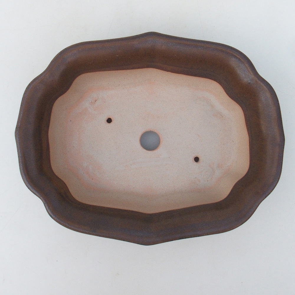 Bonsaischaal H51 - 18 x 14 x 5 cm - bruin