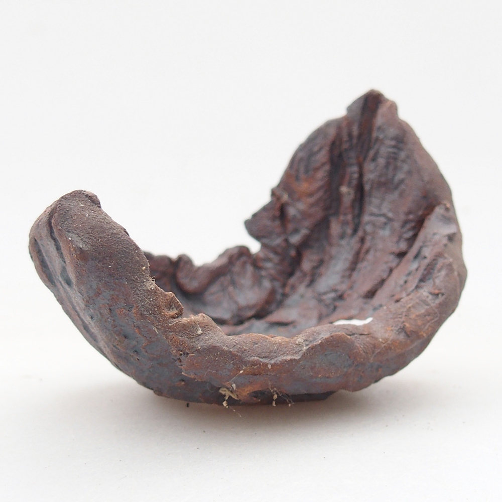 Keramisch Schelp 7,5 x 5,5 x 6 cm , kleur bruin