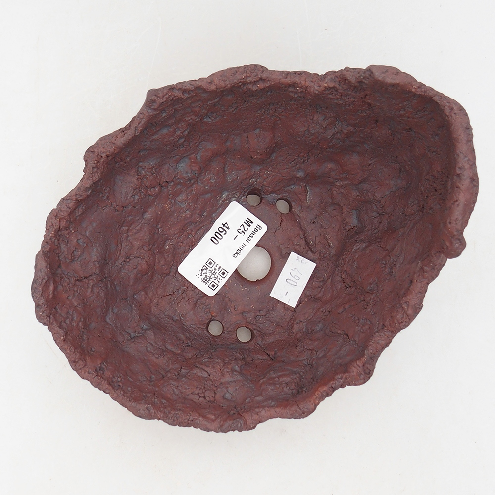 Keramisch Schelp 14 x 13 x 11,5 cm , kleur bruin