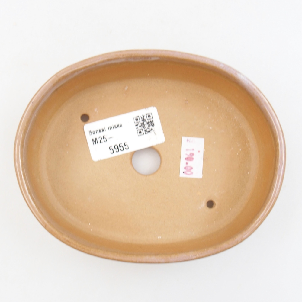 Bonsaischaal van keramiek 22 x 17 x 5 cm, groen