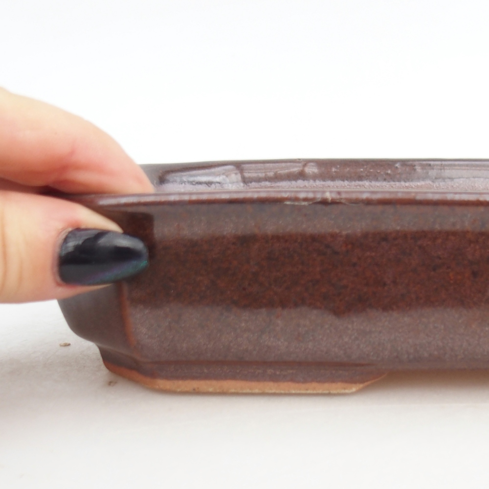 Bonsaischaal van keramiek 18,5 x 13,5 x 4,5 cm, bruin