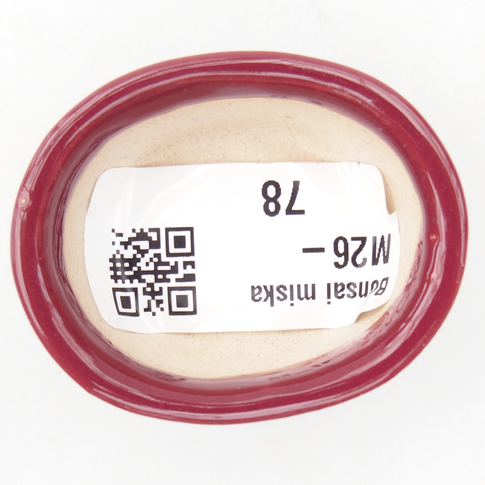 Mini bonsaischaal 4,5 x 4 x 2 cm, bordeauxrood