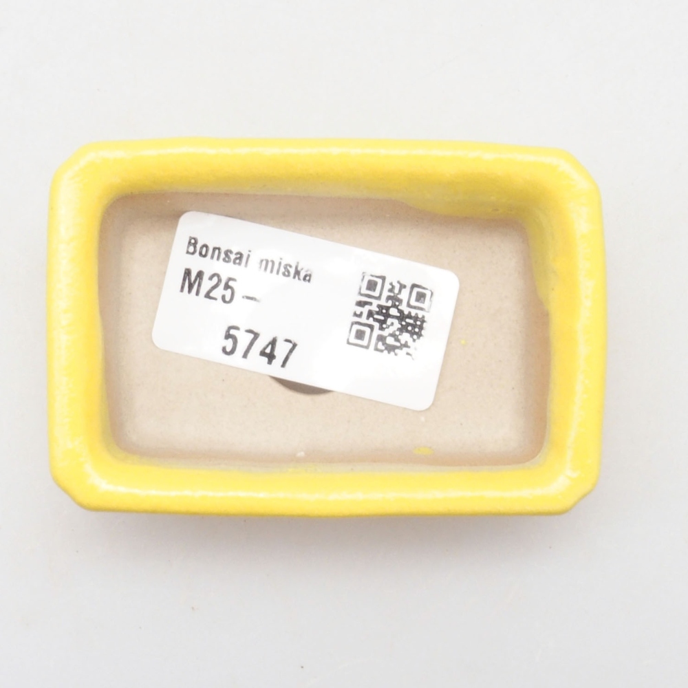 Bonsaischaal van keramiek 7 x 4,5 x 2 cm, geel