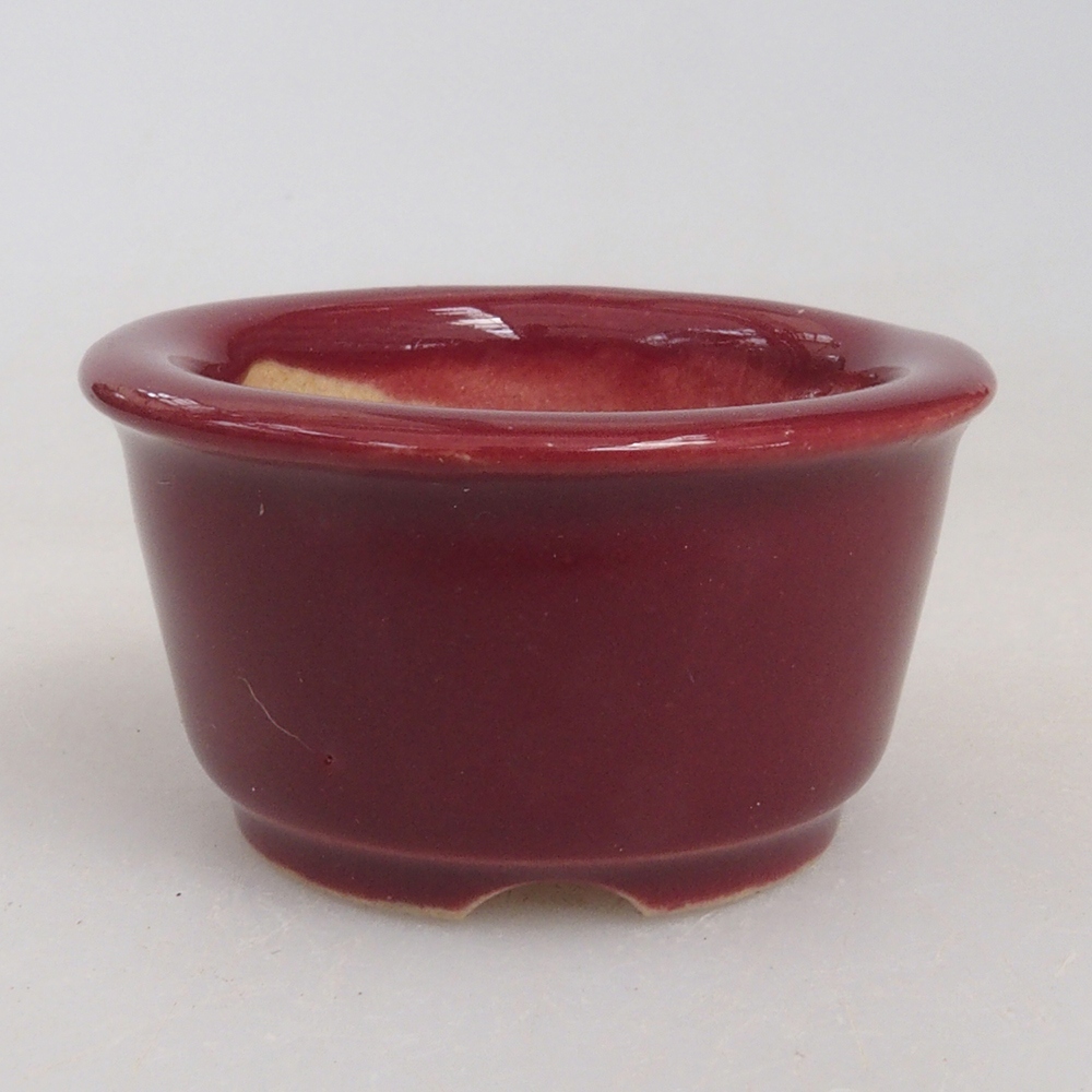 Mini bonsaischaal 4 x 4 x 2 cm, bordeauxrood