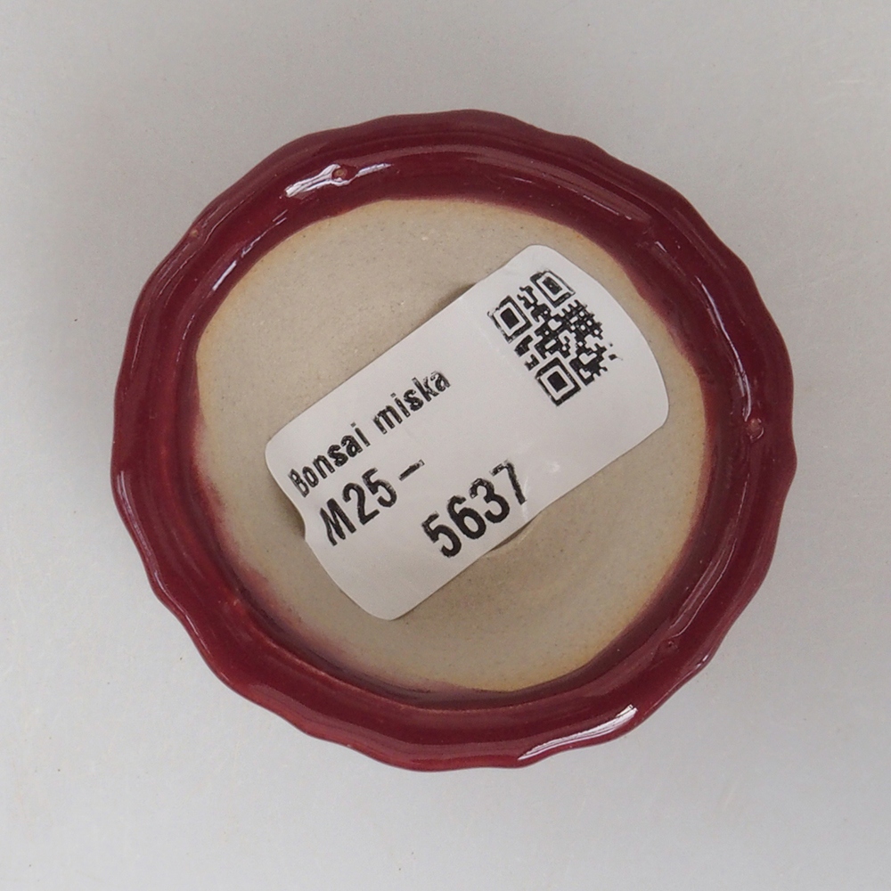Mini bonsaischaal 5 x 5 x 2,5 cm, kleur bordeauxrood