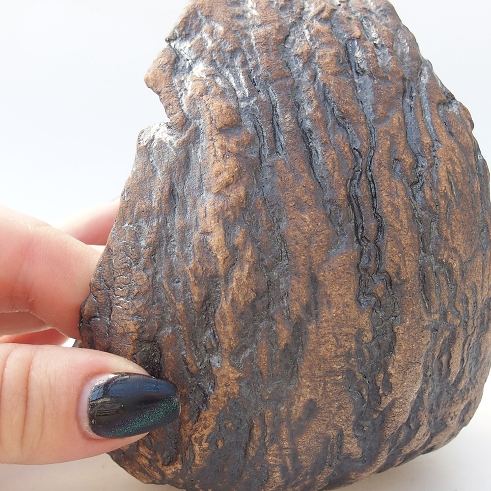 Keramisch Schelp 9,5 x 9 x 12 cm , kleur bruin