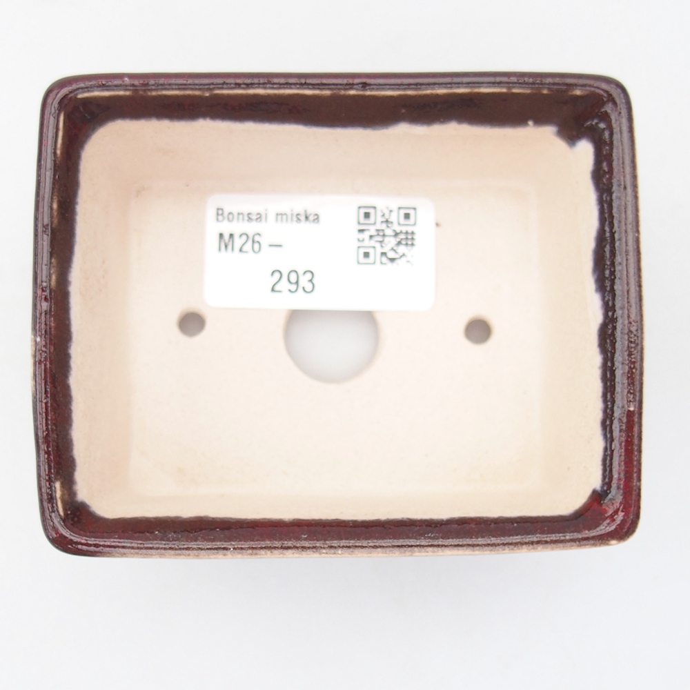 Mini bonsaischaal 9 x 7 x 3,5 cm, kleur rood
