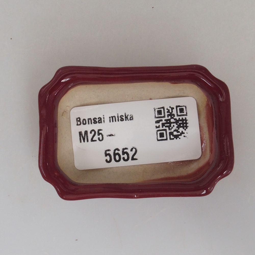 Mini bonsaischaal 5,5 x 3,5 x 1,5 cm, bordeauxrood