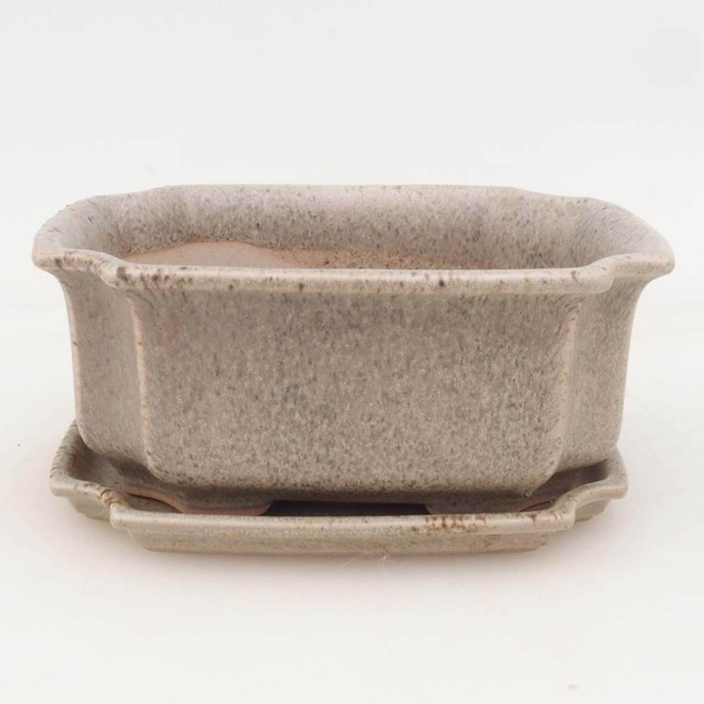 Bonsai kom + schotel H01 - beige